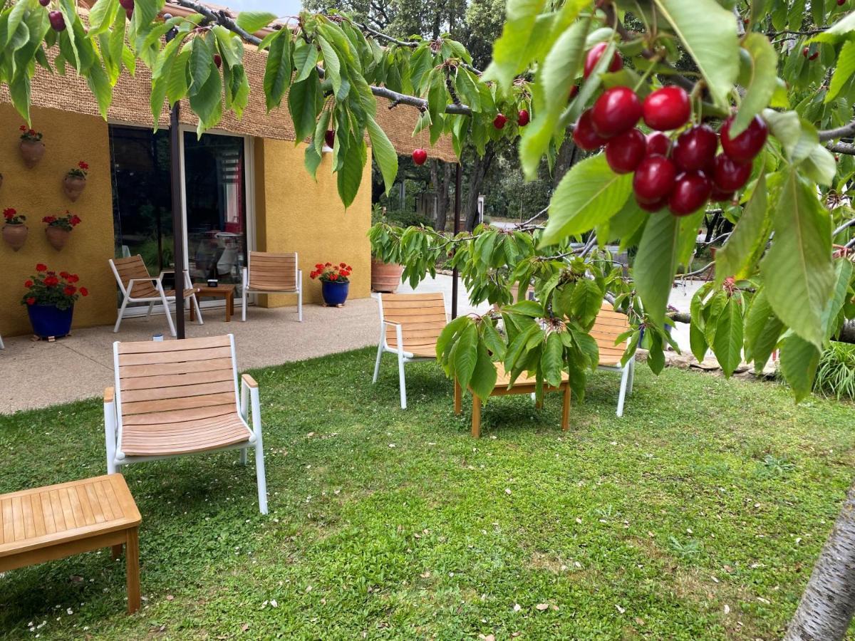 Logis La Bastide De Grignan Hotel & Restaurant "La Chenaie" Exteriör bild